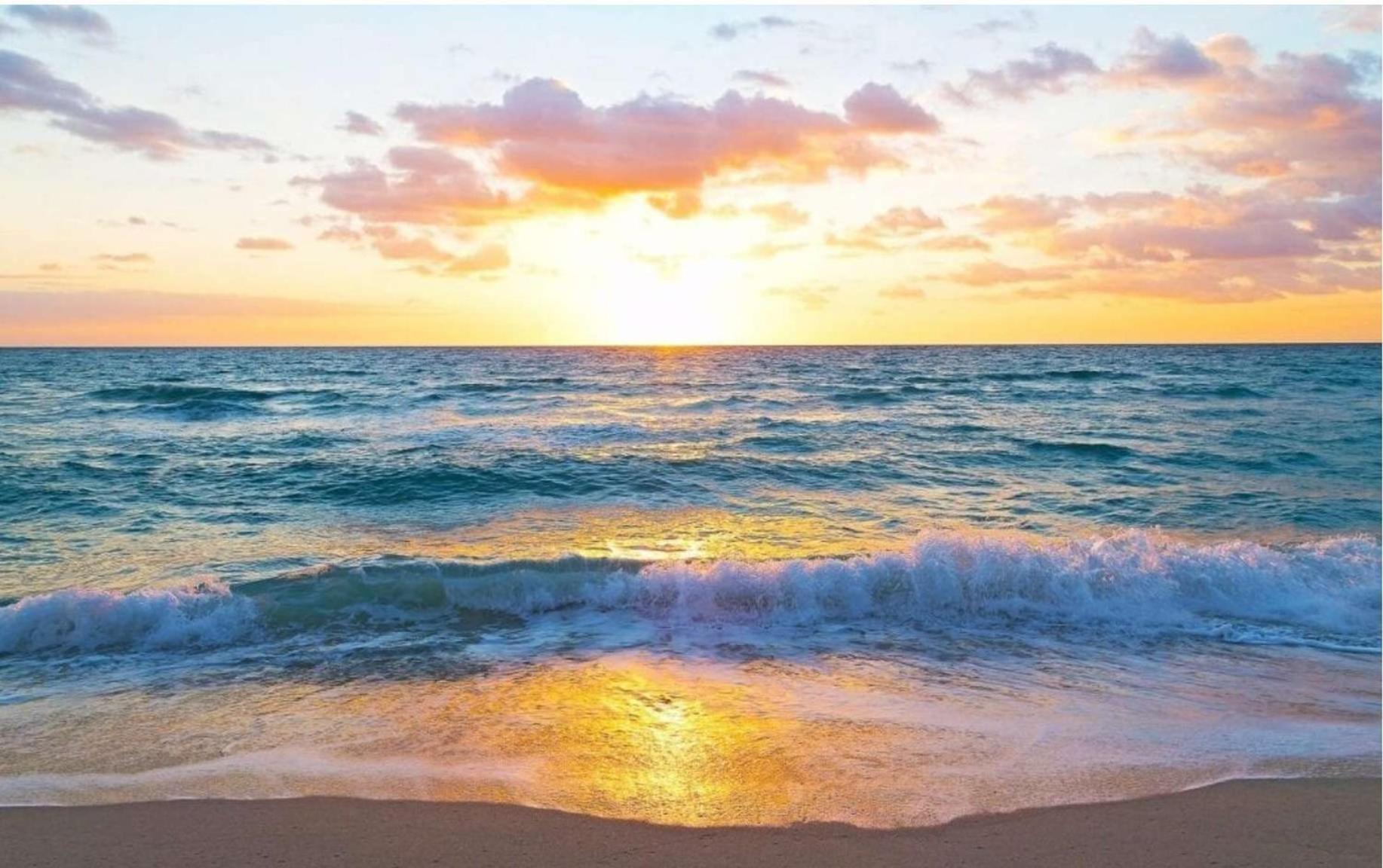 2602 E Hallandale Beach Blvd 1 Br Villa Kültér fotó